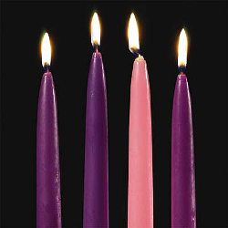 Advent Candles (4 large)