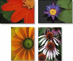 Monastery Garden Note Cards (66074)