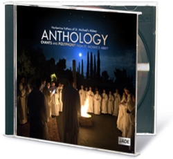 Sale CDs