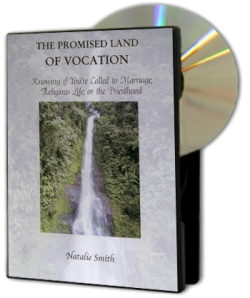 The Promised Land (DVD)