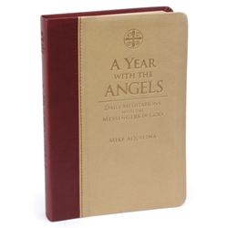 A Year with the Angels (softbound)